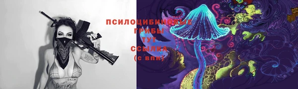 винт Надым