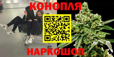 скорость Кингисепп