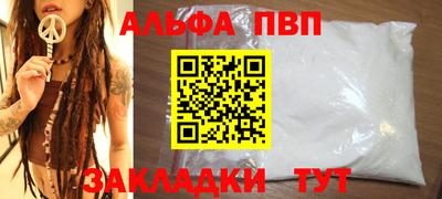 скорость Кингисепп