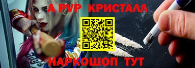 скорость Кингисепп