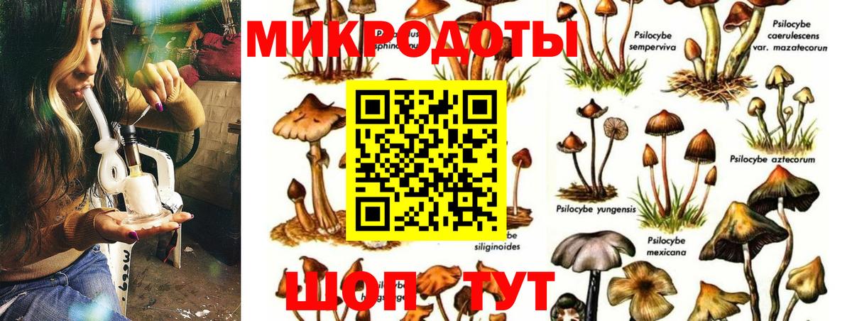 Галлюциногенные грибы мицелий Барабинск