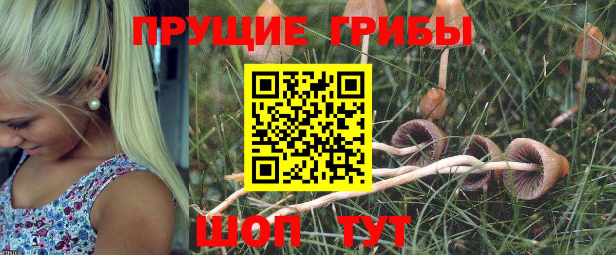 Барабинск  Галлюциногенные грибы Cubensis  Галлюциногенные грибы ЛСД  Вход с VPN 